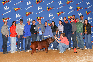 Class Winner
San Antonio Stock Show
